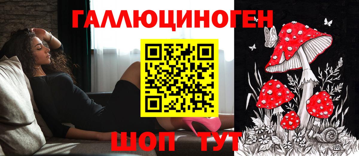 Псилоцибиновые грибы мухоморы Орёл