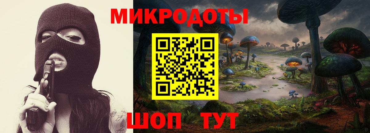 Орёл  Псилоцибиновые грибы Psilocybine cubensis  Вход с VPN  Галлюциногенные грибы MAGIC MUSHROOMS 